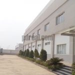 Factory For Lease In Binh Duong - BD14
