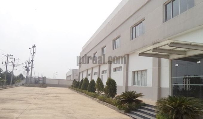 Factory For Lease In Binh Duong - BD14
