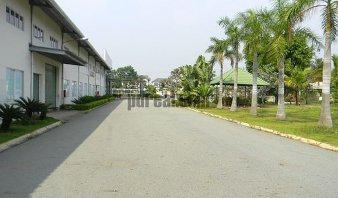 Factory sale BD01