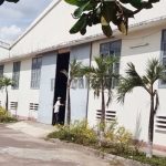 factory rent binh dinh