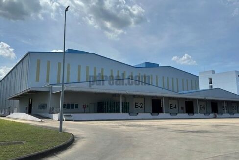 Industrial Warehouse for Sale in Long An